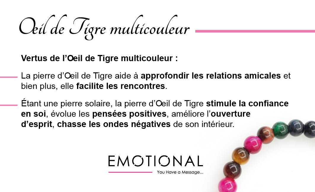 il-de-tigre-multicouleur-1.jpg